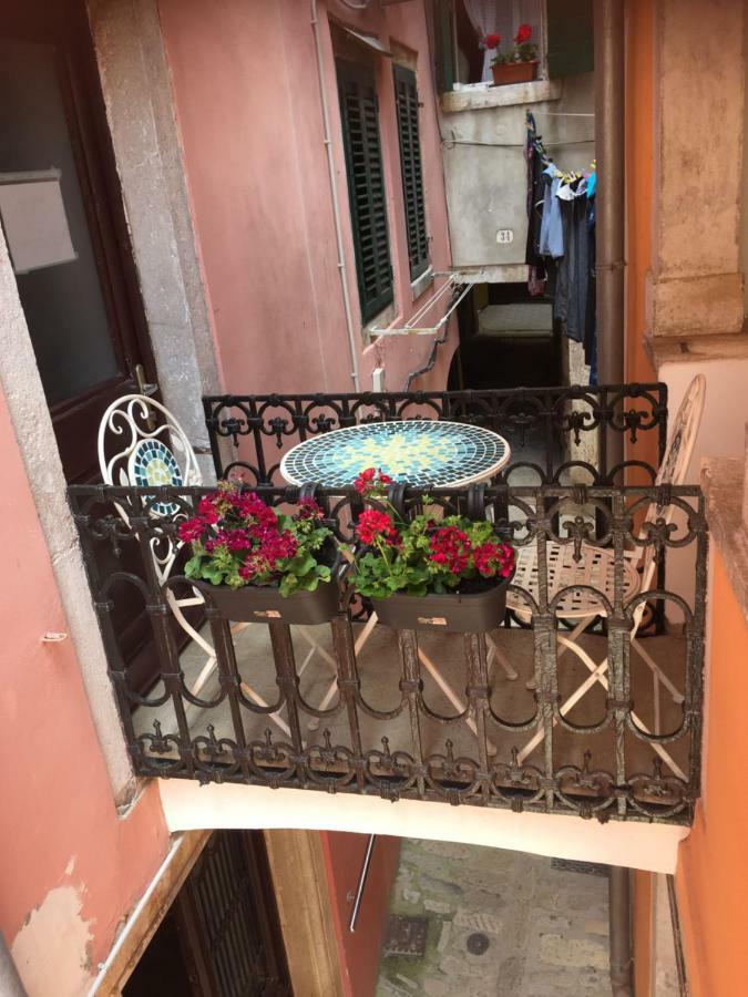Apartman Carera 42